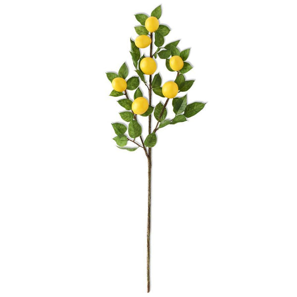 Lemon & Foliage Spray Stem - 30in