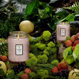 Panjore Lychee 5.5 oz Small Jar Candle