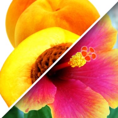 Herbal Peach Hibiscus Tea 8 oz. - Loose Leaf